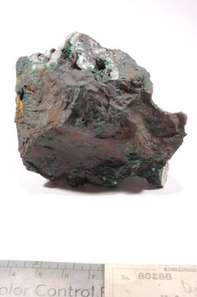 Tenorite