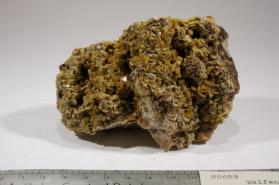 Wulfenite