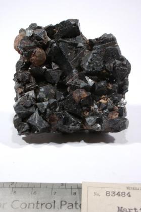 Magnetite with APATITE