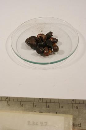 CASSITERITE