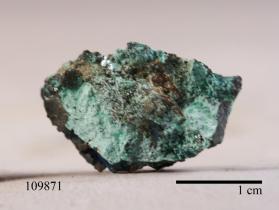 Djurleite