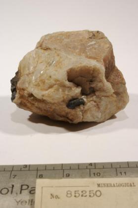 Tantalite-(Mn)