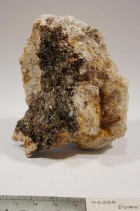 Powellite