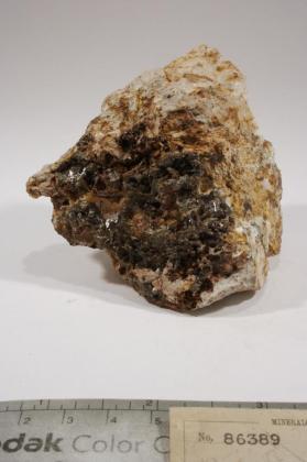 Powellite