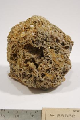 Wulfenite