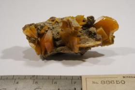 Wulfenite