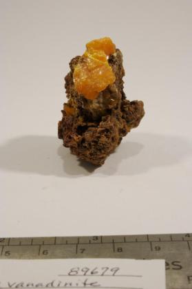 Wulfenite with Vanadinite