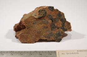 Columbite-(Fe)