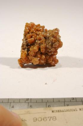 Wulfenite