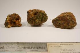 Wulfenite