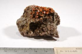 Wulfenite