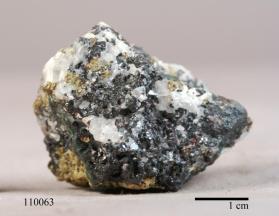 Djurleite