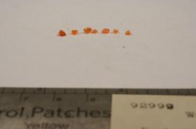 Wulfenite