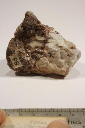 natromontebrasite