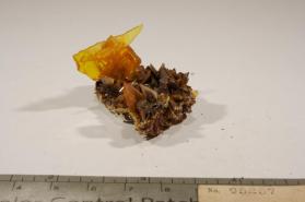 Wulfenite