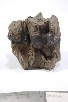 Ilmenite