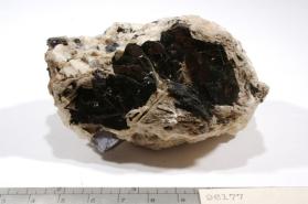 Ilmenite with Biotite and MICROCLINE