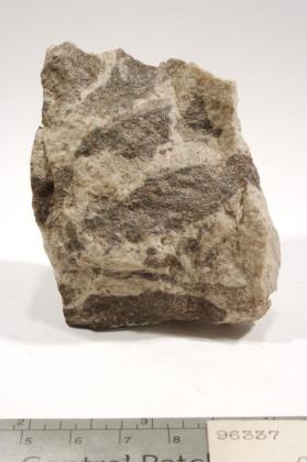 CASSITERITE