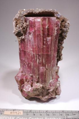 ELBAITE with Lepidolite