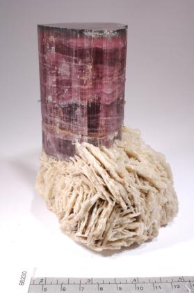 ELBAITE with Albite