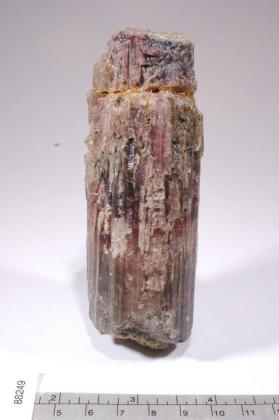 Achroite