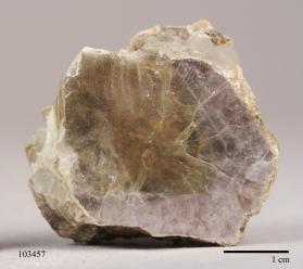 Lepidolite