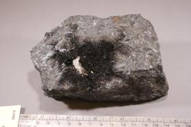 Manganite