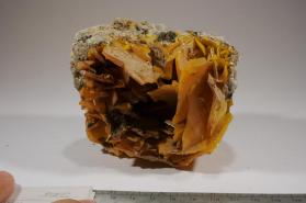 Wulfenite