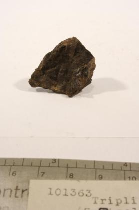 Triplite