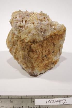 FLUORAPATITE