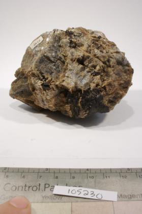 polymignite