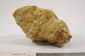 carphosiderite