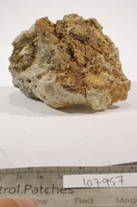 Wardite