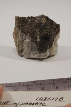 Taramellite