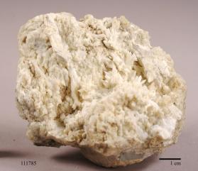 CALCITE