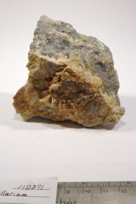 Tellurite