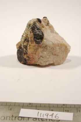 Ferrotapiolite with Albite and Muscovite