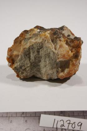 deweylite