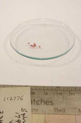 SPINEL