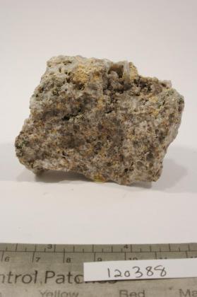 Varlamoffite