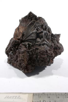 Pyrolusite