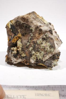 Kidwellite