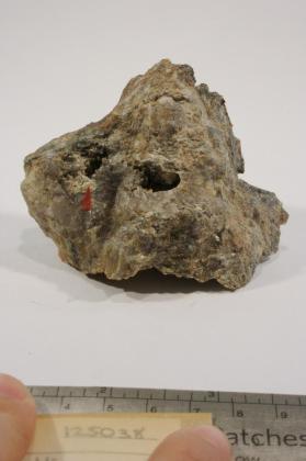 Scholzite