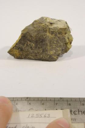 Schoderite