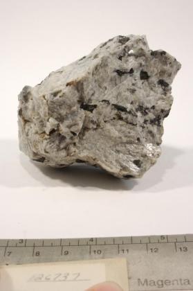 polymignite