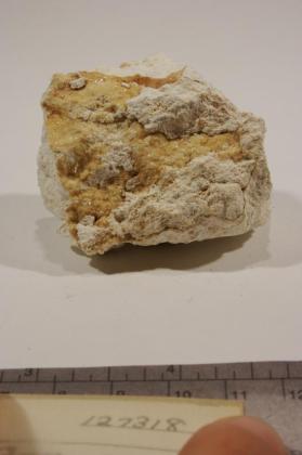 Fluellite