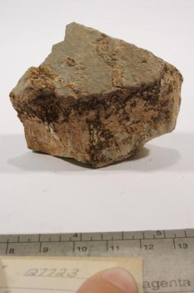 Triplite