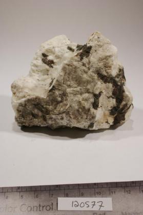 Clinozoisite with Albite and ALMANDINE