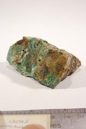 Kleemanite