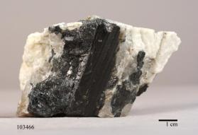 SCHORL